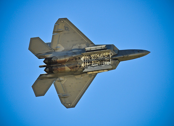 Raptor