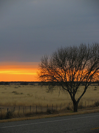 Roadside Sunset