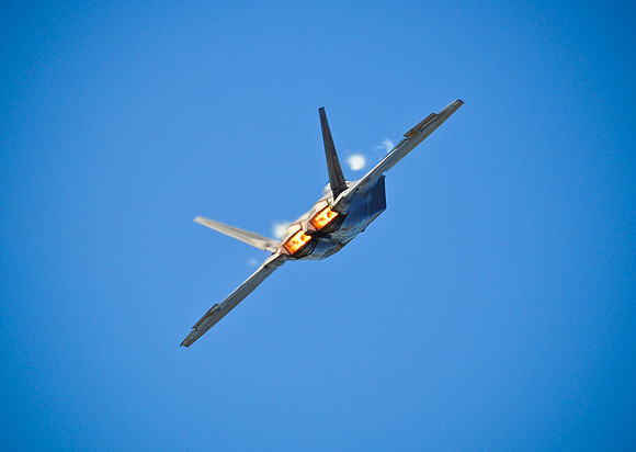 Raptor